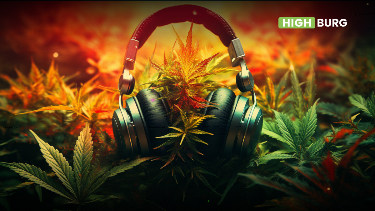 Does Music Stimulate Cannabis Growth?