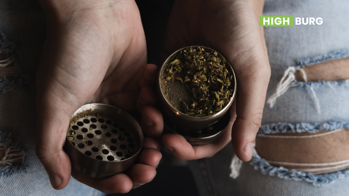 How to choose the best weed grinder?