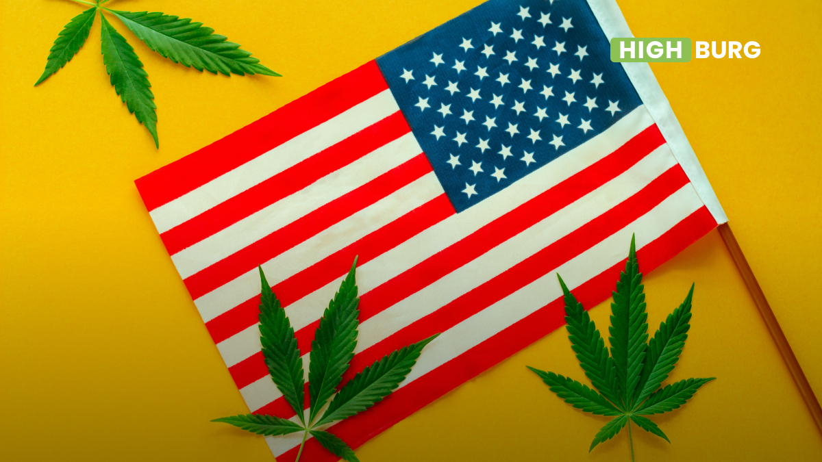 Positive impact of Legalization on Americans