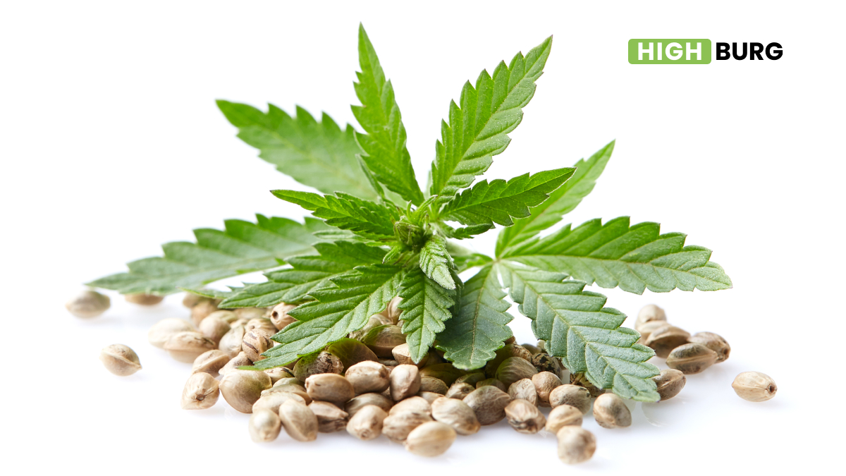The Nutraceutical Potential of Hemp