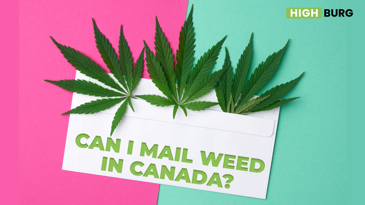 Can I mail weed in Canada envelope