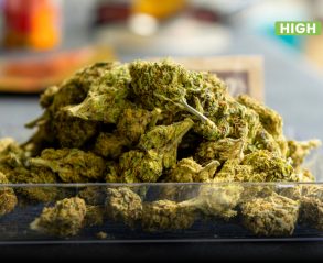 Improving Cannabis Shelf Life: Drying and Curing