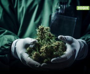 Risks associated with cannabis coming from the illegal market